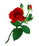 Lady Lilith Armand Logo