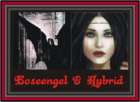 Boseengel & Hybrid Logo