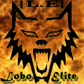 [L.E] Ninjun EX Logo