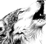 [LUA] lol hsccj003 lol Logo