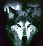 [SOAD] Yazeck Wolf Logo