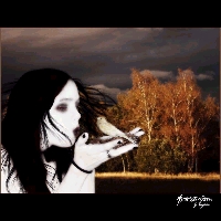 [H A] Constantinne Logo