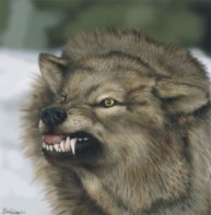 Bob Sanguinario Logo