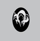 Old Solid Snake Logo